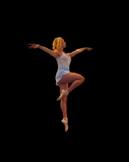POINTE skirt